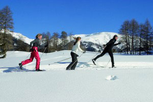 winter langlauf